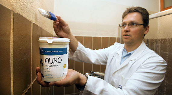 AURO Schritt 4 Antischimmelfarbe Mann RGB AURO Schritt 4 Antischimmelfarbe Mann RGB